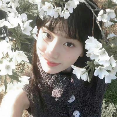 无为大师第三季